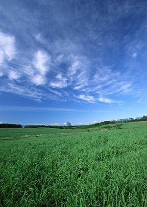 静岡県浜松市中央区の家族葬専門斎場【家族葬のタクセル住吉】：低価格・安心の家族葬サービス
