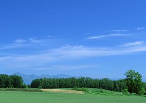 静岡市駿河区の家族葬を安心・安心に執り行う【富士葬祭 聖一色】の特徴とご案内