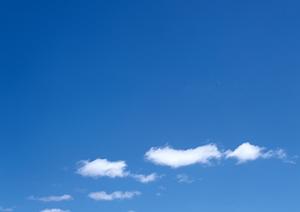 静岡県浜松市の信頼と実績の葬儀場｜富士葬祭佐鳴台の特徴とサービス内容を徹底解説