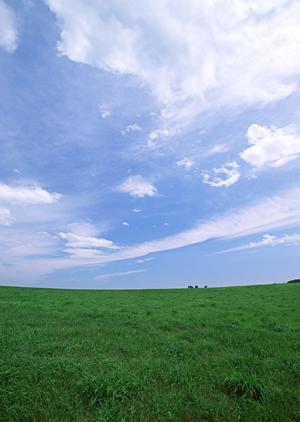 静岡県浜松市中央区に新たにオープン！家族葬のタクセル豊町｜低価格・多様な葬儀プラン対応の葬儀場